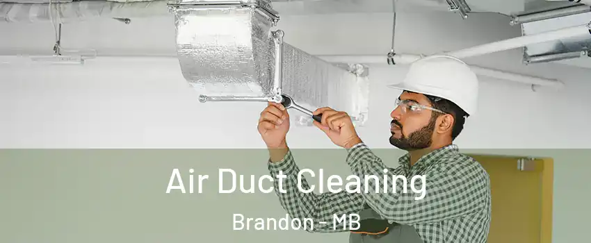  Air Duct Cleaning Brandon - MB