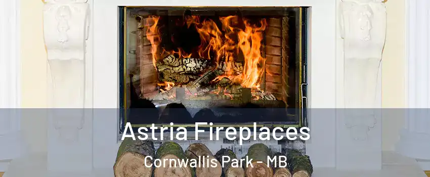  Astria Fireplaces Cornwallis Park - MB