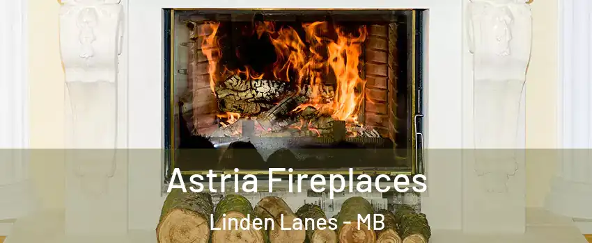  Astria Fireplaces Linden Lanes - MB