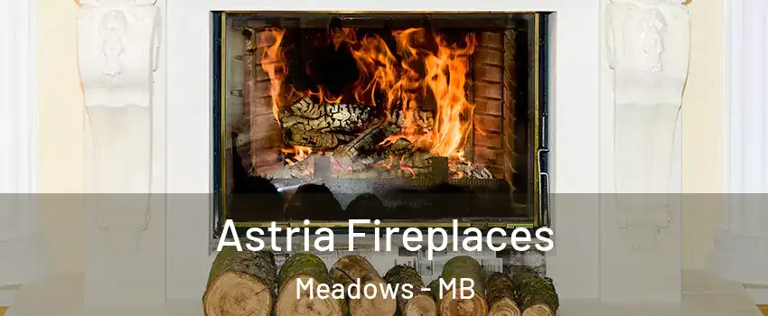  Astria Fireplaces Meadows - MB