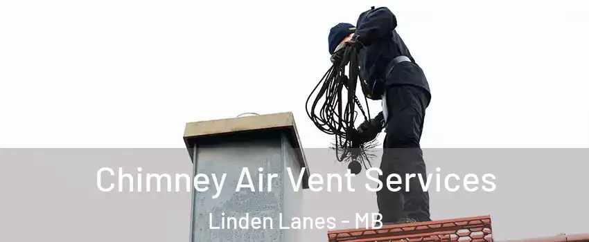  Chimney Air Vent Services Linden Lanes - MB