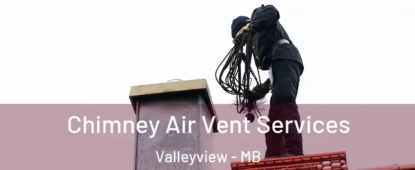  Chimney Air Vent Services Valleyview - MB