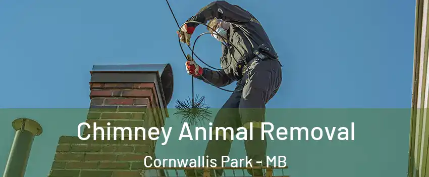 Chimney Animal Removal Cornwallis Park - MB
