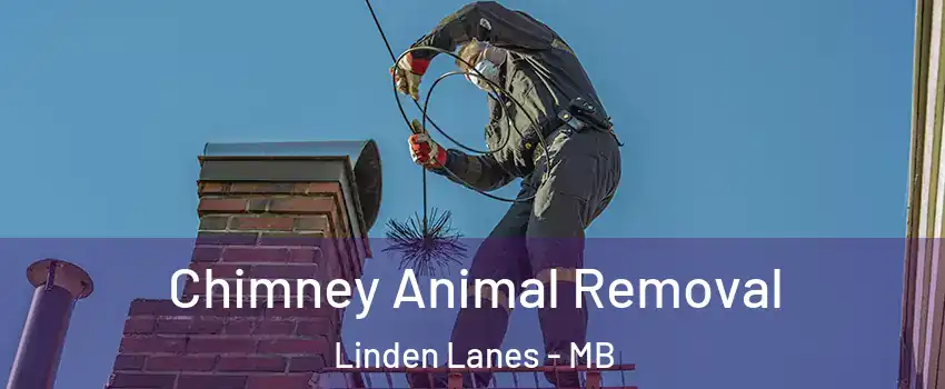  Chimney Animal Removal Linden Lanes - MB