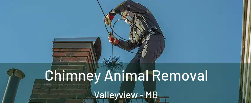  Chimney Animal Removal Valleyview - MB