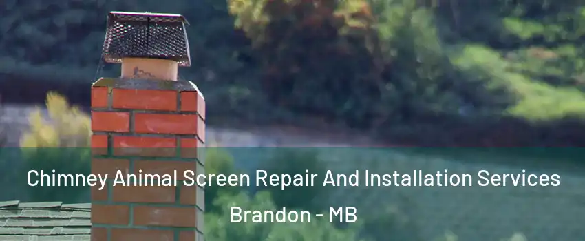  Chimney Animal Screen Repair And Installation Services Brandon - MB