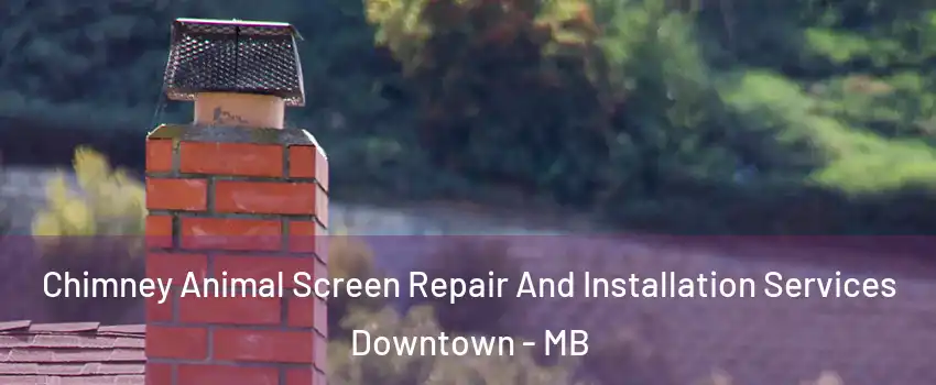  Chimney Animal Screen Repair And Installation Services Downtown - MB