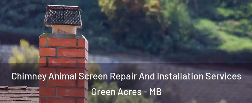  Chimney Animal Screen Repair And Installation Services Green Acres - MB