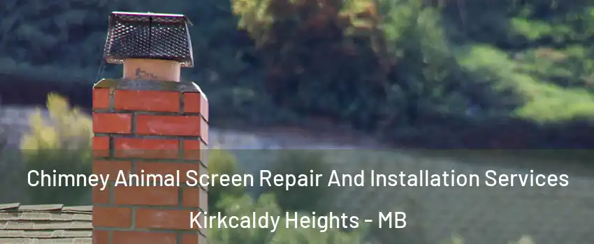  Chimney Animal Screen Repair And Installation Services Kirkcaldy Heights - MB