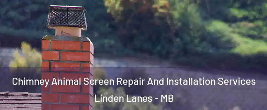 Chimney Animal Screen Repair And Installation Services Linden Lanes - MB