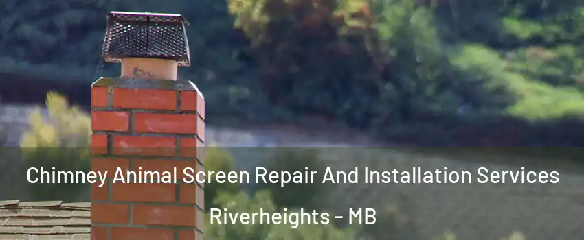  Chimney Animal Screen Repair And Installation Services Riverheights - MB