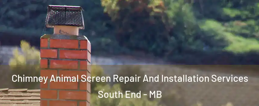  Chimney Animal Screen Repair And Installation Services South End - MB
