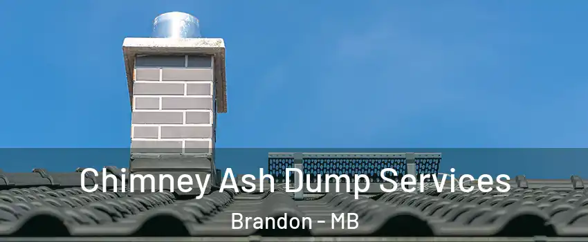  Chimney Ash Dump Services Brandon - MB