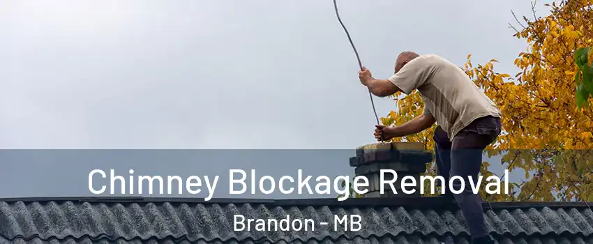  Chimney Blockage Removal Brandon - MB