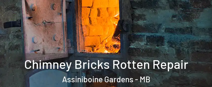 Chimney Bricks Rotten Repair Assiniboine Gardens - MB