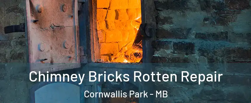  Chimney Bricks Rotten Repair Cornwallis Park - MB