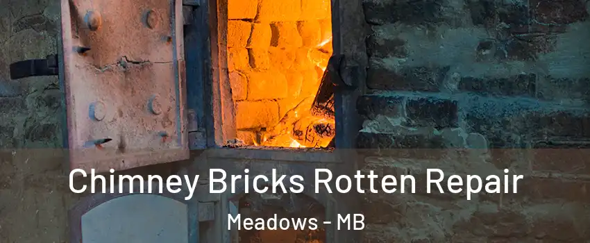  Chimney Bricks Rotten Repair Meadows - MB