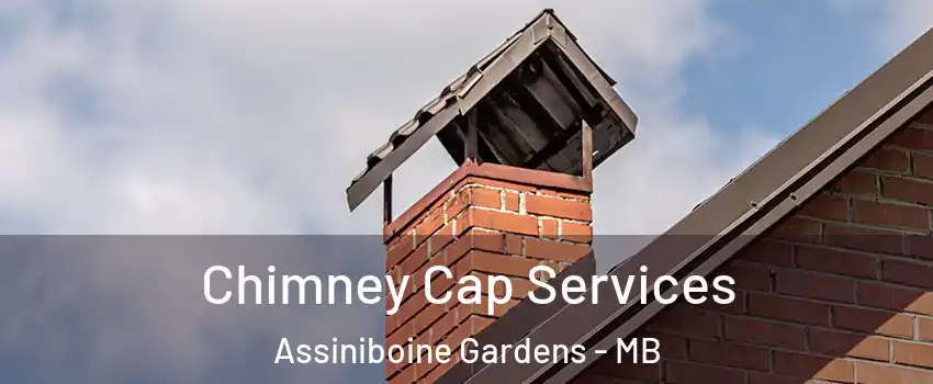  Chimney Cap Services Assiniboine Gardens - MB