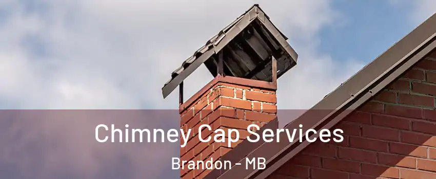  Chimney Cap Services Brandon - MB