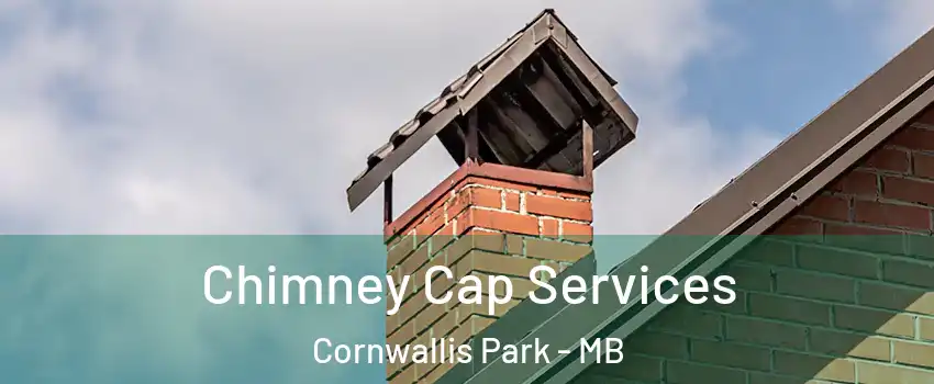  Chimney Cap Services Cornwallis Park - MB