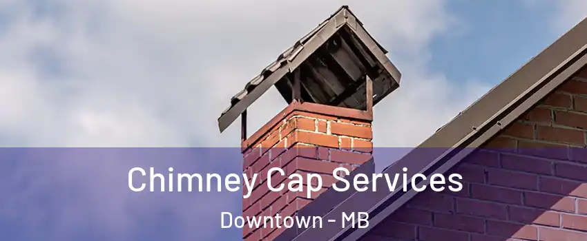  Chimney Cap Services Downtown - MB