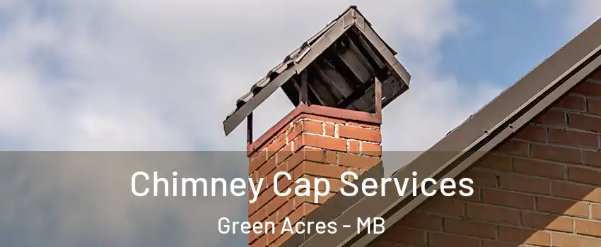  Chimney Cap Services Green Acres - MB
