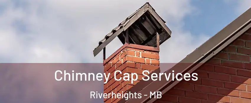 Chimney Cap Services Riverheights - MB