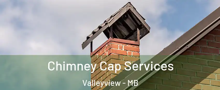  Chimney Cap Services Valleyview - MB