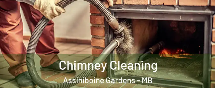  Chimney Cleaning Assiniboine Gardens - MB