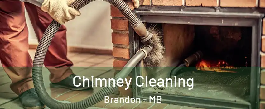  Chimney Cleaning Brandon - MB