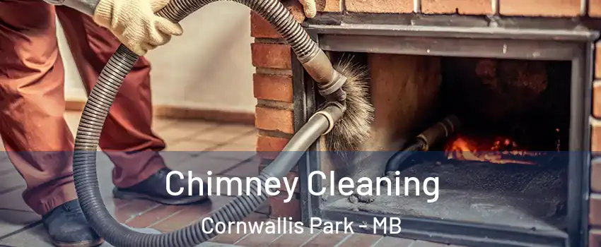  Chimney Cleaning Cornwallis Park - MB