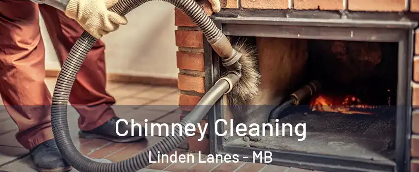  Chimney Cleaning Linden Lanes - MB