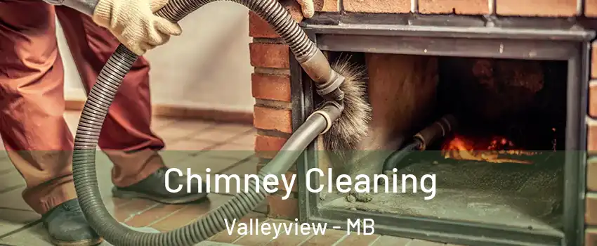  Chimney Cleaning Valleyview - MB