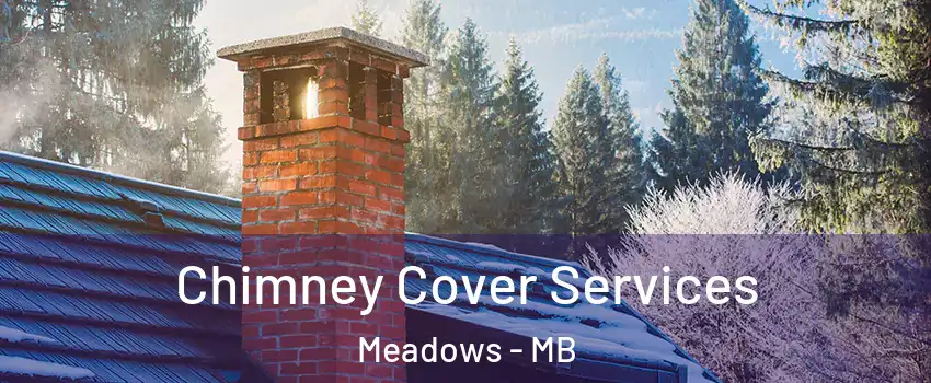  Chimney Cover Services Meadows - MB