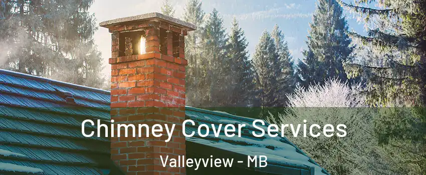  Chimney Cover Services Valleyview - MB