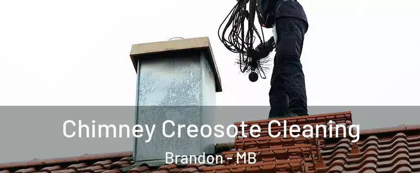  Chimney Creosote Cleaning Brandon - MB