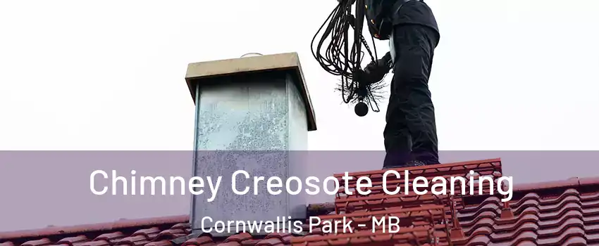  Chimney Creosote Cleaning Cornwallis Park - MB