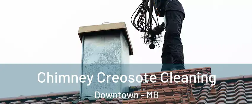  Chimney Creosote Cleaning Downtown - MB