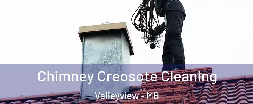  Chimney Creosote Cleaning Valleyview - MB