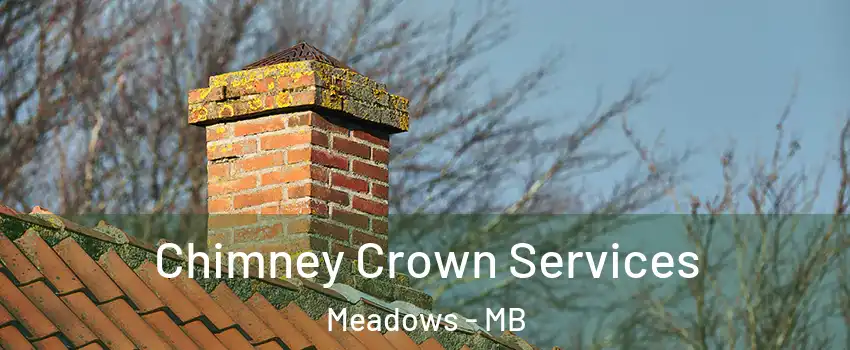  Chimney Crown Services Meadows - MB