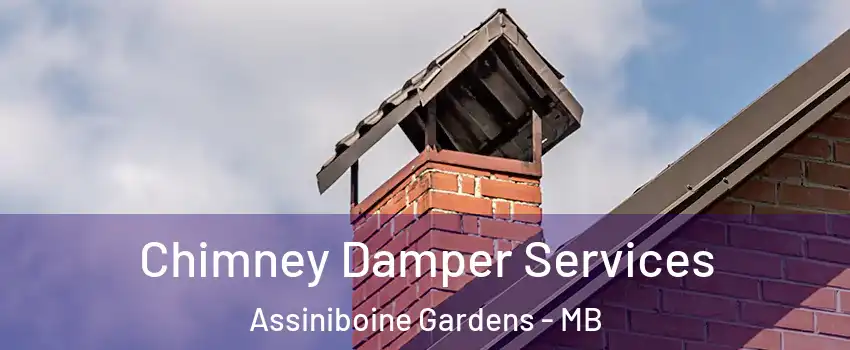  Chimney Damper Services Assiniboine Gardens - MB