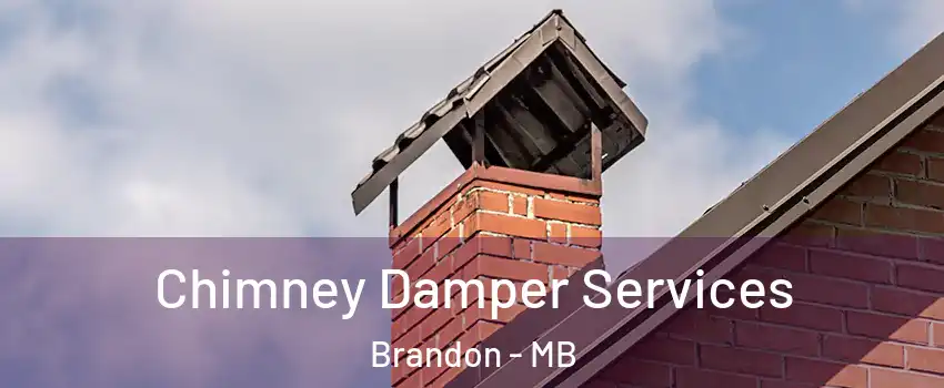  Chimney Damper Services Brandon - MB
