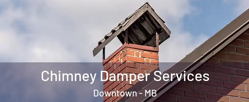  Chimney Damper Services Downtown - MB