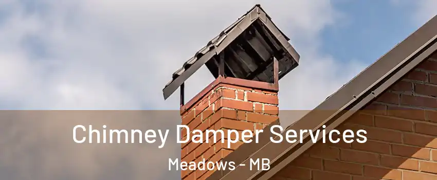  Chimney Damper Services Meadows - MB