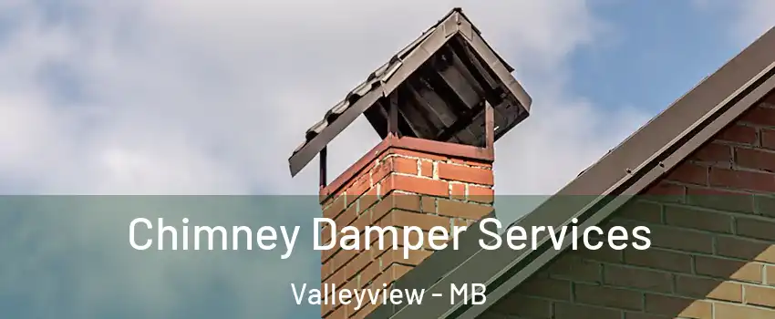  Chimney Damper Services Valleyview - MB