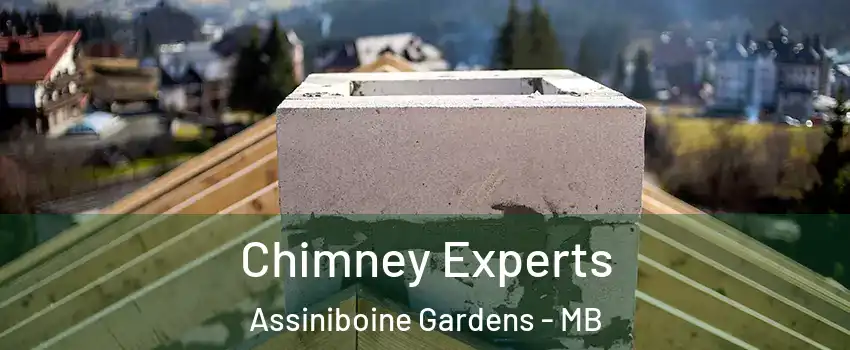  Chimney Experts Assiniboine Gardens - MB