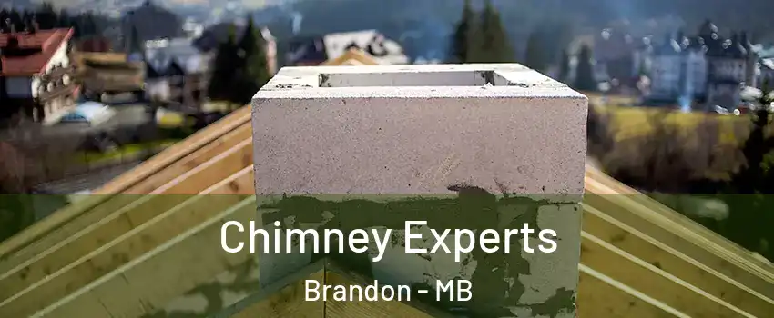  Chimney Experts Brandon - MB