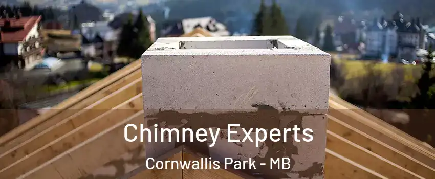  Chimney Experts Cornwallis Park - MB