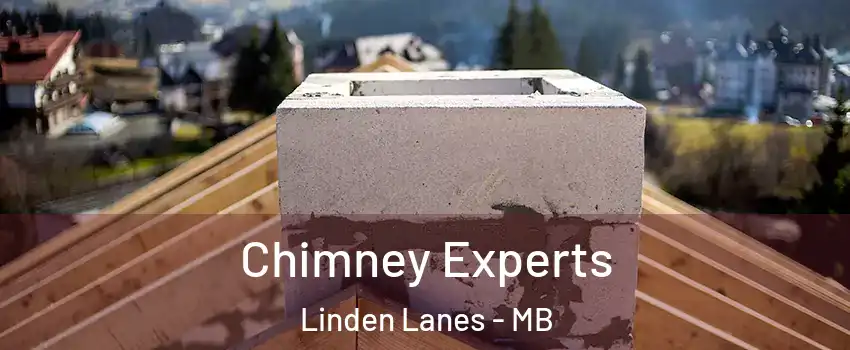  Chimney Experts Linden Lanes - MB