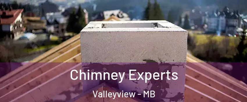  Chimney Experts Valleyview - MB